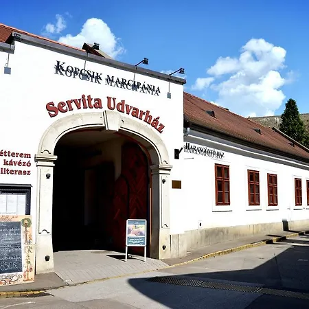 公寓 Servita Udvarhaz *